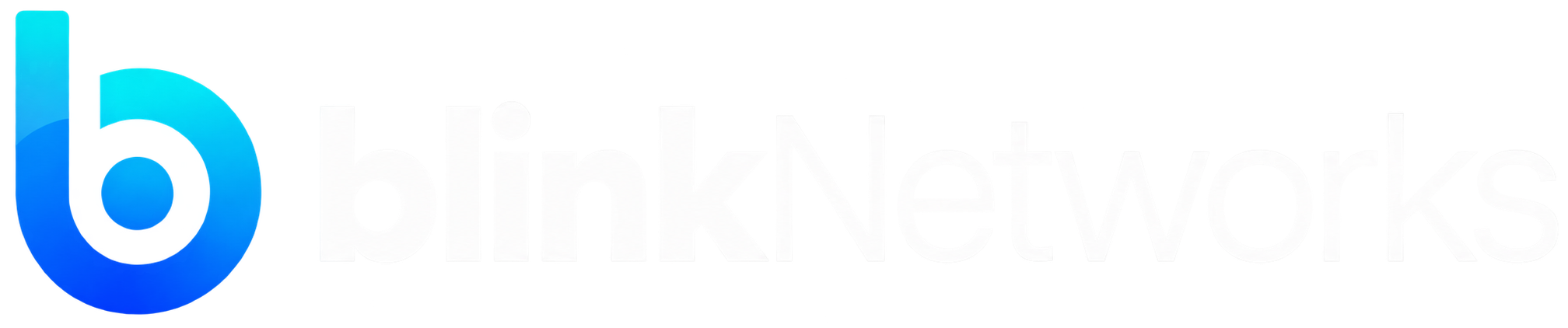 BlinkNetworks